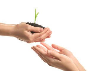 Women's hands with soil and green sprout on white background