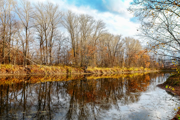 Autumn landscape. Forest lake in autumn forest