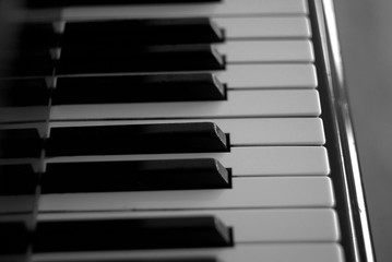 piano keyboard black and white image