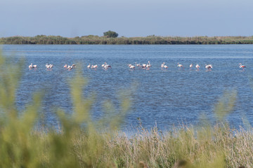 Paisaje del Delta del Ebro
