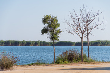 Paisaje del Delta del Ebro