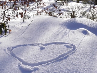 serce na śniegu © barbara