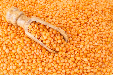 Raw red lentil - Lens culinaris
