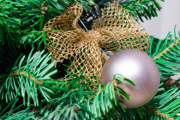 New Year coniferous tree decorated with Christmas ornament, ball