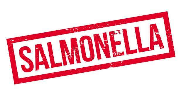 Salmonella rubber stamp. Grunge design with dust scratches. Effects can be easily removed for a clean, crisp look. Color is easily changed.