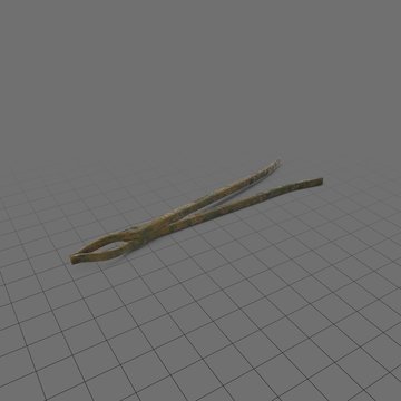 Blacksmith tongs