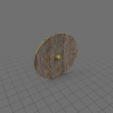 Medieval wooden shield