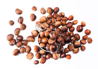 edible chestnuts - a bag of fresh, raw chestnuts sprinkled on a white background
