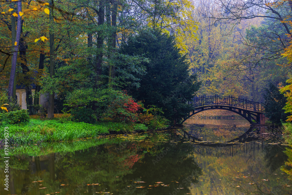 Poster scenic view of misty autumn landscape with beautiful old bridge in the garden with red maple foliage