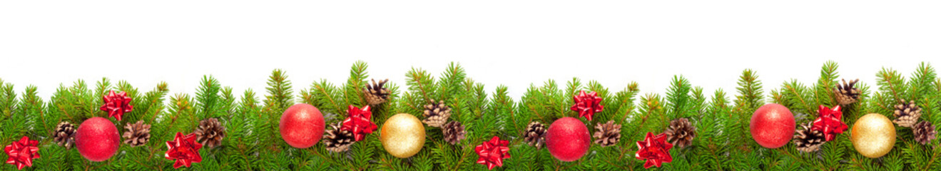 Evergreen branches on white