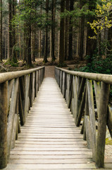 Fototapeta na wymiar Wooden bridge over the Shimna River, Northern Ireland, as featured in a scene from Game of Thrones