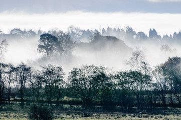 Fototapeta na wymiar Low lying mist covering a field and trees in a forest in County Antrim, Northern Ireland