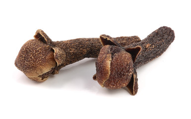 dry spice clove isolated on white background macro