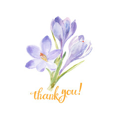 Thank you! Watercolor illustration with a bouquet of crocuses and handmade calligraphy on white background.