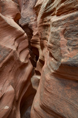 narrow passage through Spooky Slot Canyon
Hole in the Rock Road, Grand Staircase Escalante National Monument, Garfield County, Utah, USA