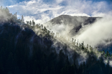 Alaska landscape with ocean, mountain, and fog forest