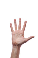 The man's hand shows a figure of five on his fingers. Male hand on white background in a photo studio. The guy counts to five on his fingers. A neat palm with lines of life.