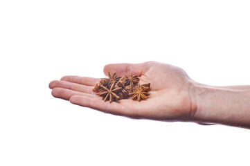 The man is holding a handful of Badian. Anise is a fragrant spice for mulled wine, desserts and other dishes. Beautiful spice in the shape of a star. Hand of a guy on white background in photo studio.