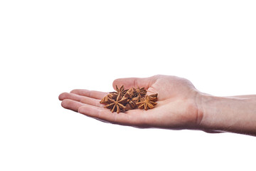 The man is holding a handful of Badian. Anise is a fragrant spice for mulled wine, desserts and other dishes. Beautiful spice in the shape of a star. Hand of a guy on white background in photo studio.