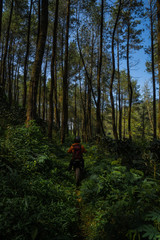 Supermoto on The Jungle
