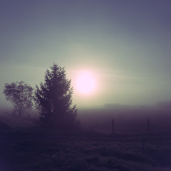 Sonnenaufgang im Nebel
