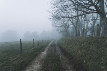 Dirt country road passing through the forest and fields in the region of Normandy, France. Rural landscape in foggy day. Toned