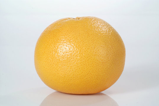 Pampelmuse