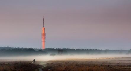 Tower in the sunrise