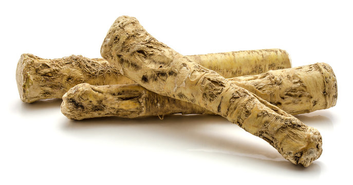 Three fresh horseradish root isolated on white background