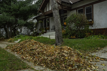 Raking Leaves