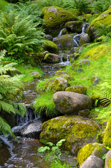 Small cascade of clean water in the park