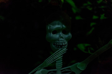 halloween con el señor esqueleto