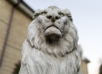 Portrait of a noble and regal male lion stone statue in a stately home garden in England, United Kingdom