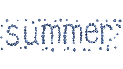 blueberries isolated on white background