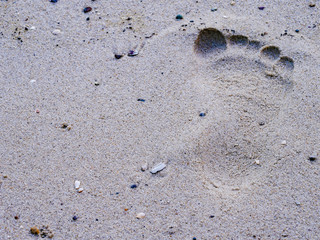Fototapeta na wymiar the footprint on sand at the beach