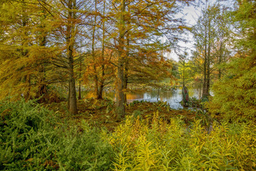 Beautiful autumn view