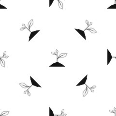 Obraz premium Growing plant pattern seamless black