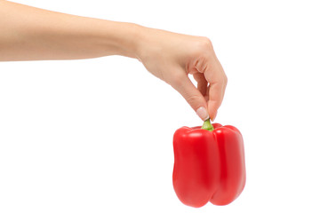 Female hand holding red bell pepper