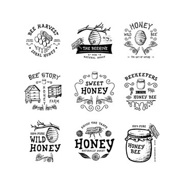 Set of badge Honey. Hand drawn bee, flower, hive, glass jar. Label logo template. Design fashion apparel print. Graphic vintage illustration.