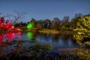 illuminated autumn park 