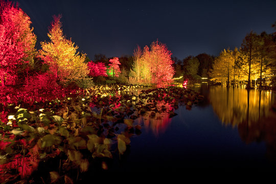 illuminated autumn park 