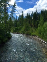 Fototapeta na wymiar Flathead River, Montana