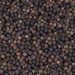 Black pepper