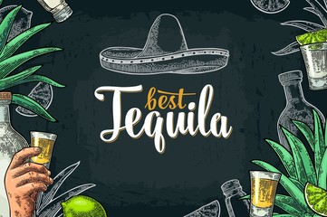 Poster with hand holding glass tequila - obrazy, fototapety, plakaty
