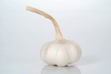 Knoblauch