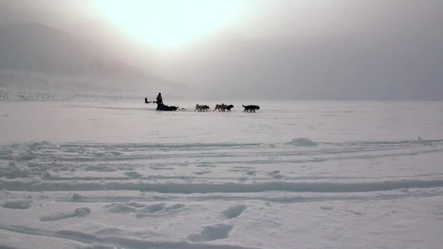 People expedition on dog sled team husky Eskimo road of North Pole in Arctic. Way from airport Longyear to Pyramiden Spitsbergen on background of glacier mountains Svalbard.