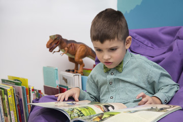 Caucasian boy reading a dinosaur book