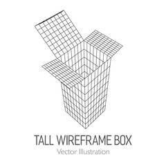 Tall vertical rectangle box open. Retail wireframe poly mesh vector illustration concept