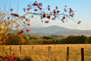 Jesienny widok na Tinto, Szkocja
