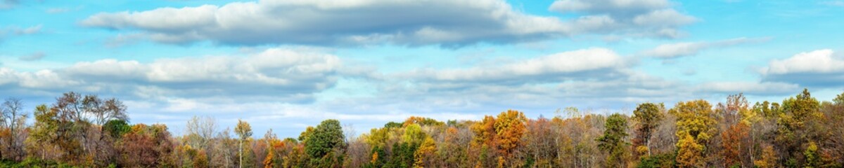 Banner Of Autumn Trees And Sky